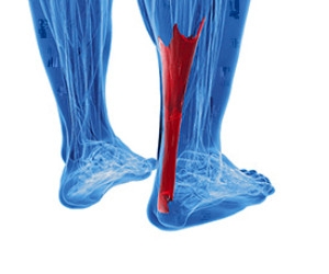 Washington Wizards Guard Tears Achilles Tendon